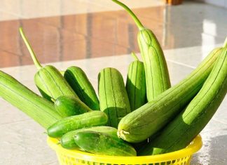 Mang thai ăn mướp được không ?