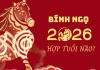 Sinh con năm 2026: Tổng quan vận mệnh & tháng sinh thuận mùa của bé